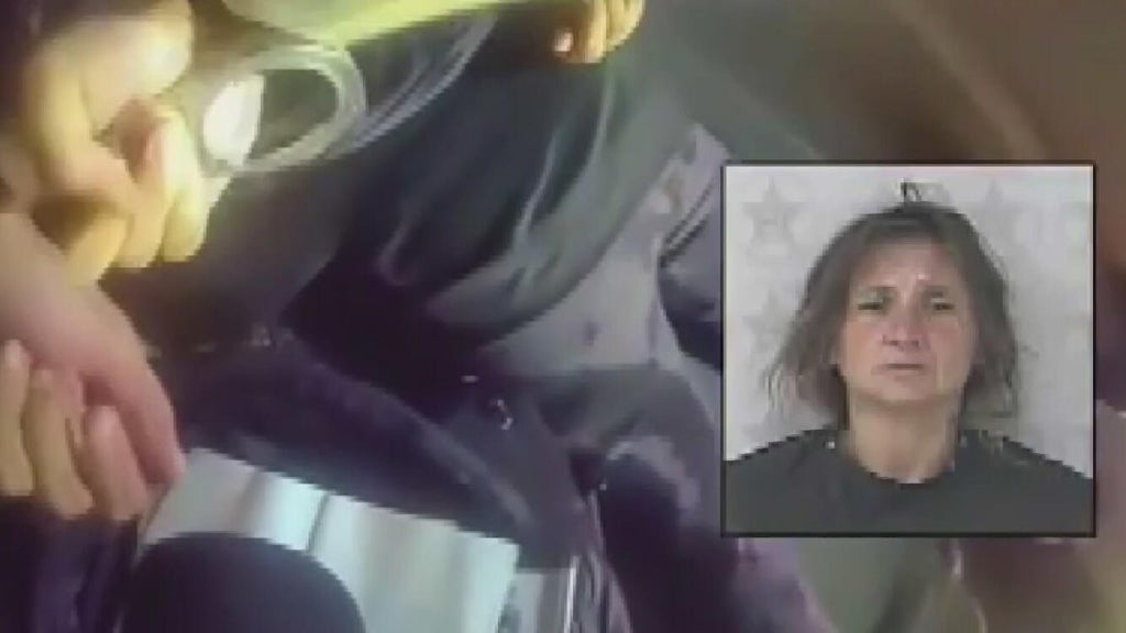 Video shows arrest of Broward woman accused of stealing BSO patrol vehicle, driving it 90 miles — CBS Miami, Garrison Community news