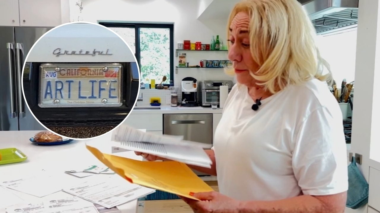 Bay Area woman gets mystery tickets when another driver copies her license plate
       — ABC 7 Bay Area