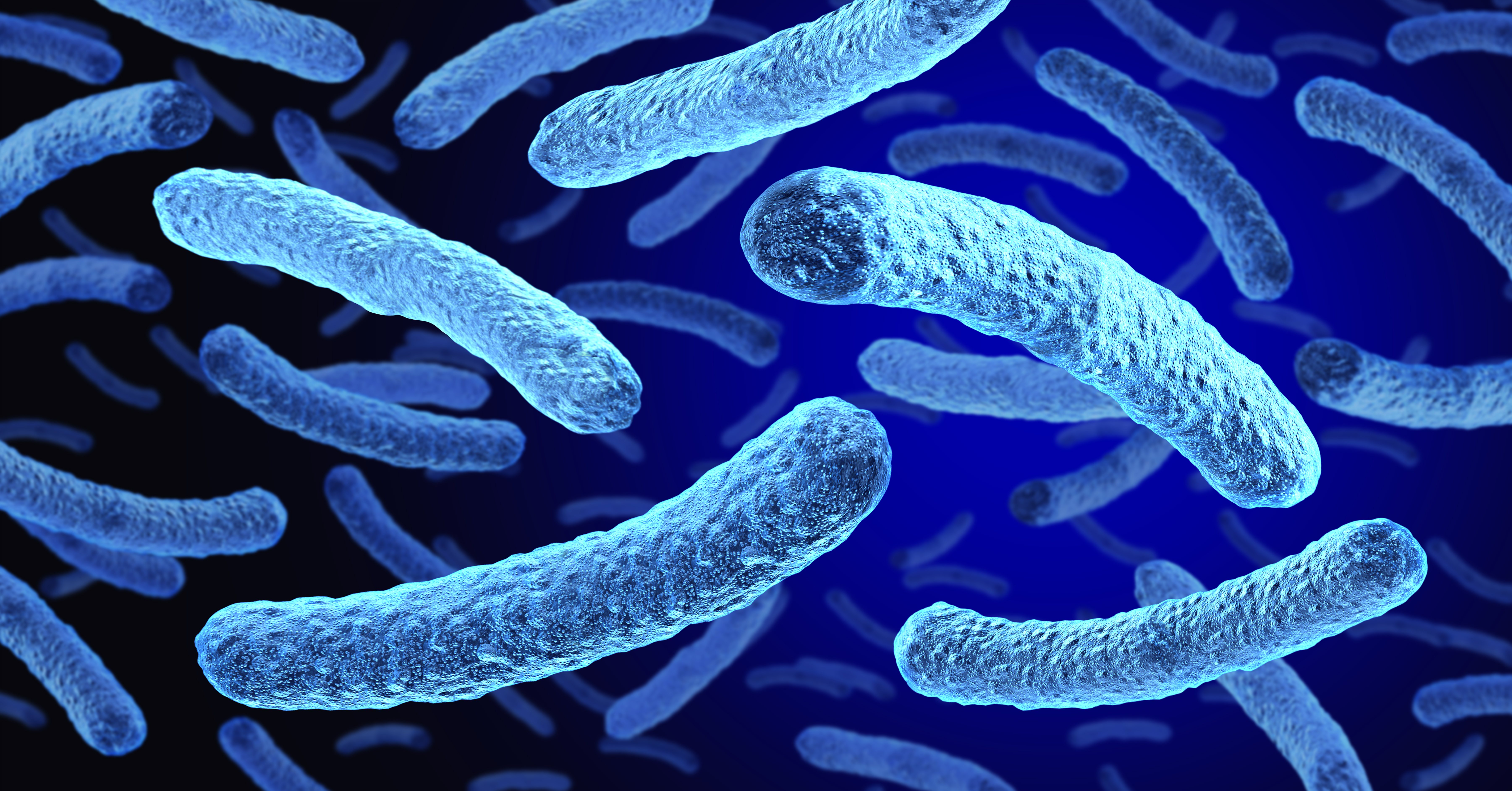 Tests confirmed live Legionella at 7 South Bronx sites amid Legionnaires' outbreak — Gothamist, Garrison Community news
