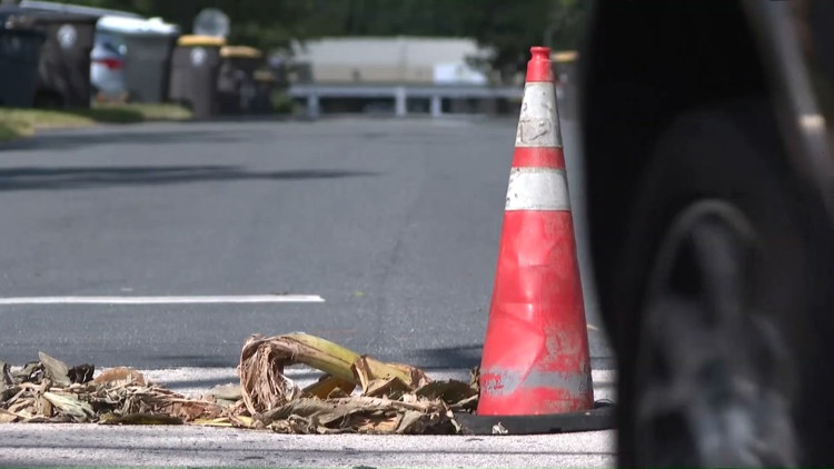 Two holes in Murray Hill roads filled by banana trees; JEA now says one will be repaired — First Coast News Local